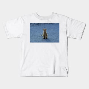 Ginger Cat Kids T-Shirt